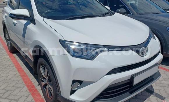 Tenga Tsaru Toyota RAV4 Chena Mota in Beitbridge in Matabeleland South Tenga Tsaru Toyota RAV4 Chena Mota in Beitbridge in Matabeleland South