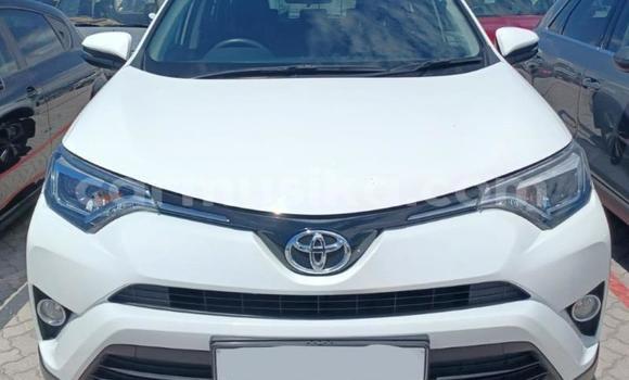 Tenga Tsaru Toyota RAV4 Chena Mota in Beitbridge in Matabeleland South Tenga Tsaru Toyota RAV4 Chena Mota in Beitbridge in Matabeleland South