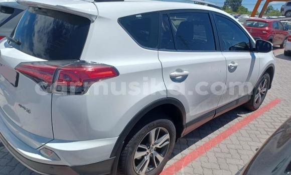 Tenga Tsaru Toyota RAV4 Chena Mota in Beitbridge in Matabeleland South Tenga Tsaru Toyota RAV4 Chena Mota in Beitbridge in Matabeleland South