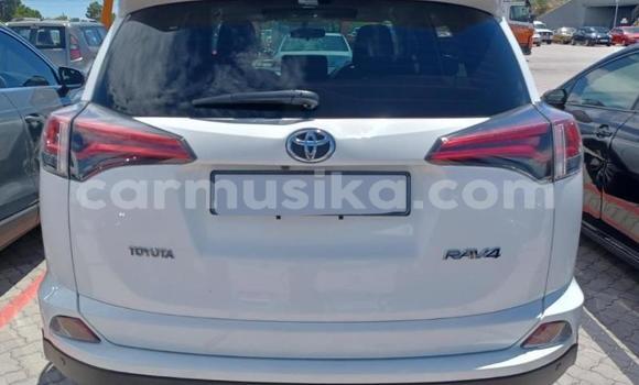 Tenga Tsaru Toyota RAV4 Chena Mota in Beitbridge in Matabeleland South Tenga Tsaru Toyota RAV4 Chena Mota in Beitbridge in Matabeleland South