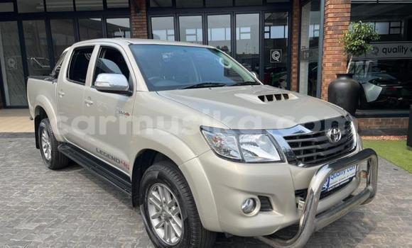 Tenga Tsaru Toyota Hilux Sirivha Mota in Beitbridge in Matabeleland South