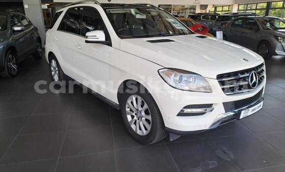 Nunua Ilio tumika Mercedes‒Benz M-klasse Nyeupe Gari ndani ya Beitbridge nchini Matabeleland Kusini