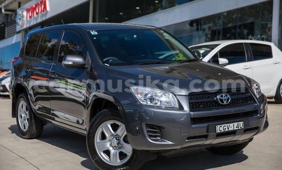 Tenga Tsaru Toyota RAV4 Zvimwe Mota in Harare in Harare Tenga Tsaru Toyota RAV4 Zvimwe Mota in Harare in Harare
