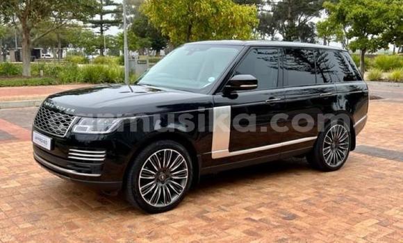 Tenga Tsaru Range Rover Range Rover Nhema Mota in Beitbridge in Matabeleland South Tenga Tsaru Range Rover Range Rover Nhema Mota in Beitbridge in Matabeleland South