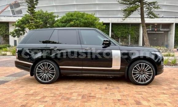 Tenga Tsaru Range Rover Range Rover Nhema Mota in Beitbridge in Matabeleland South Tenga Tsaru Range Rover Range Rover Nhema Mota in Beitbridge in Matabeleland South