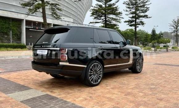 Tenga Tsaru Range Rover Range Rover Nhema Mota in Beitbridge in Matabeleland South Tenga Tsaru Range Rover Range Rover Nhema Mota in Beitbridge in Matabeleland South