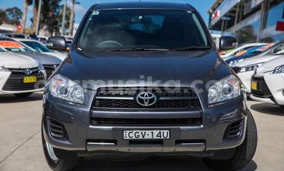 Tenga Tsaru Toyota RAV4 Zvimwe Mota in Harare in Harare Tenga Tsaru Toyota RAV4 Zvimwe Mota in Harare in Harare