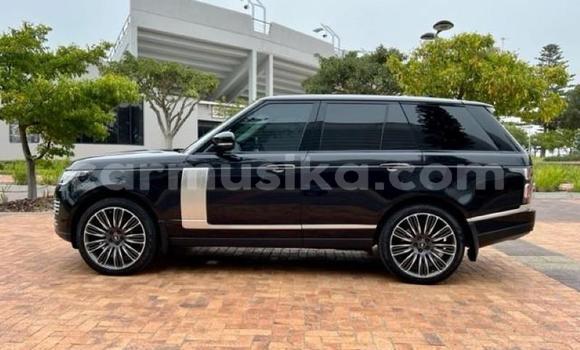 Tenga Tsaru Range Rover Range Rover Nhema Mota in Beitbridge in Matabeleland South Tenga Tsaru Range Rover Range Rover Nhema Mota in Beitbridge in Matabeleland South