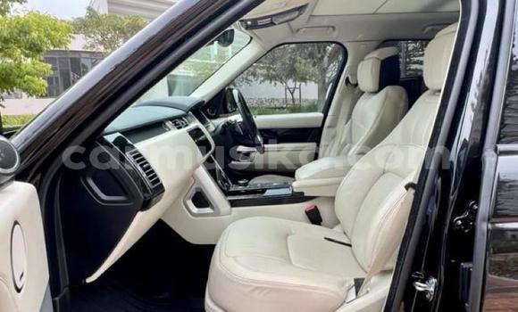 Tenga Tsaru Range Rover Range Rover Nhema Mota in Beitbridge in Matabeleland South Tenga Tsaru Range Rover Range Rover Nhema Mota in Beitbridge in Matabeleland South