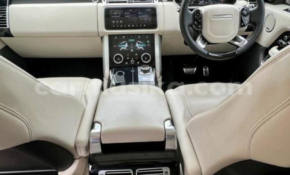 Tenga Tsaru Range Rover Range Rover Nhema Mota in Beitbridge in Matabeleland South Tenga Tsaru Range Rover Range Rover Nhema Mota in Beitbridge in Matabeleland South