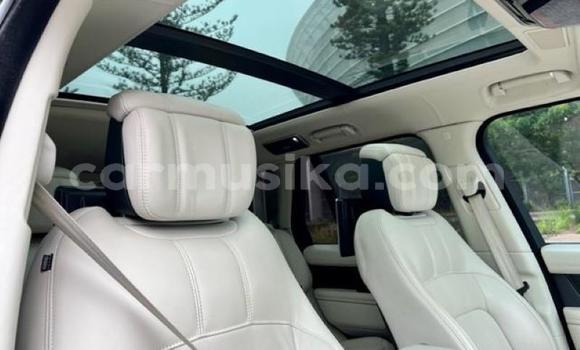 Tenga Tsaru Range Rover Range Rover Nhema Mota in Beitbridge in Matabeleland South Tenga Tsaru Range Rover Range Rover Nhema Mota in Beitbridge in Matabeleland South