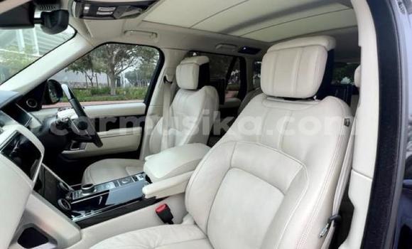 Tenga Tsaru Range Rover Range Rover Nhema Mota in Beitbridge in Matabeleland South Tenga Tsaru Range Rover Range Rover Nhema Mota in Beitbridge in Matabeleland South