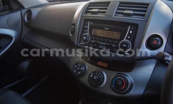 Tenga Tsaru Toyota RAV4 Zvimwe Mota in Harare in Harare Tenga Tsaru Toyota RAV4 Zvimwe Mota in Harare in Harare
