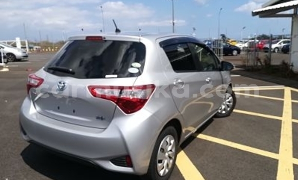 Acheter Occasion Voiture Toyota Vitz Gris à Beitbridge, Matabeleland South Acheter Occasion Voiture Toyota Vitz Gris à Beitbridge, Matabeleland South