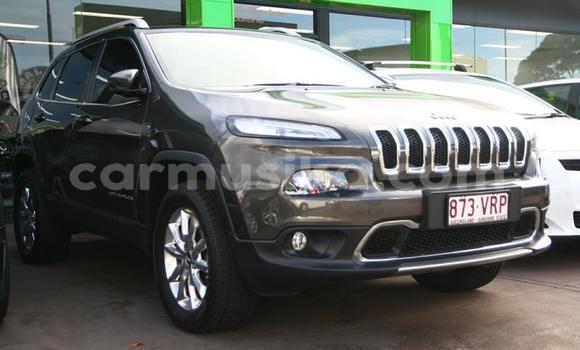 Nunua Ilio tumika Jeep Cherokee Nyingine Gari ndani ya Harare nchini Harare