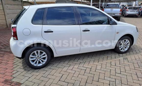 Tenga Tsaru Volkswagen Polo Chena Mota in Beitbridge in Matabeleland South Tenga Tsaru Volkswagen Polo Chena Mota in Beitbridge in Matabeleland South