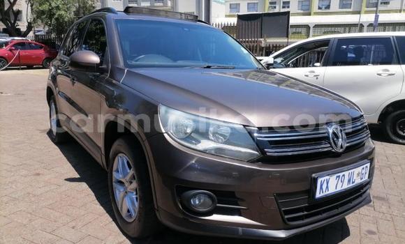 Buy Used Volkswagen Tiguan Brown Car in Beitbridge in Matabeleland South