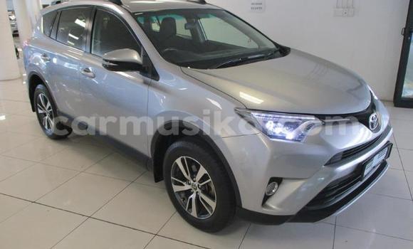 Buy Used Toyota RAV4 Silver Car in Beitbridge in Matabeleland South