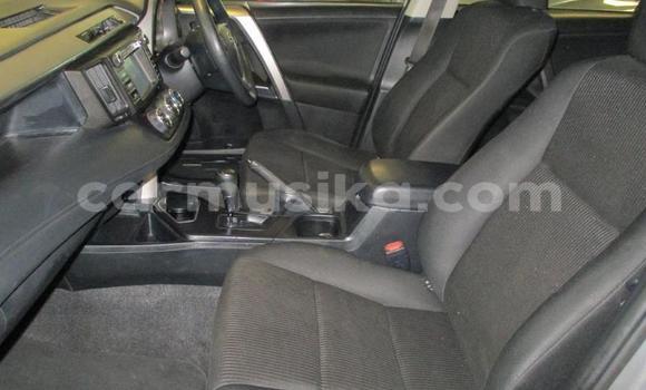 Nunua Ilio tumika Toyota RAV4 Fedha Gari ndani ya Beitbridge nchini Matabeleland Kusini Nunua Ilio tumika Toyota RAV4 Fedha Gari ndani ya Beitbridge nchini Matabeleland Kusini