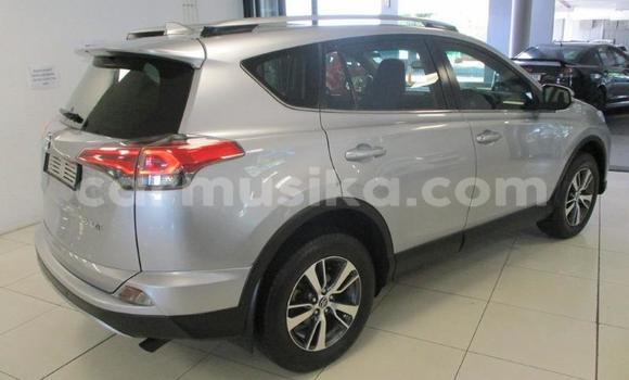 Nunua Ilio tumika Toyota RAV4 Fedha Gari ndani ya Beitbridge nchini Matabeleland Kusini Nunua Ilio tumika Toyota RAV4 Fedha Gari ndani ya Beitbridge nchini Matabeleland Kusini