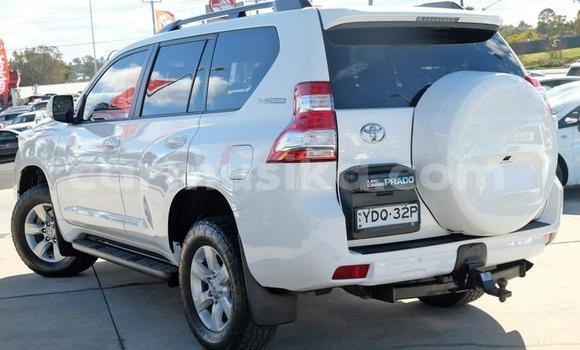 Tenga Tsaru Toyota Land Cruiser Prado Zvimwe Mota in Harare in Harare Tenga Tsaru Toyota Land Cruiser Prado Zvimwe Mota in Harare in Harare