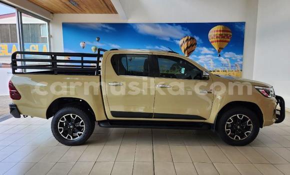 Buy Used Toyota Hilux Brown Car in Beitbridge in Matabeleland South Buy Used Toyota Hilux Brown Car in Beitbridge in Matabeleland South