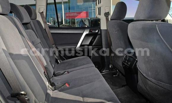 Tenga Tsaru Toyota Land Cruiser Prado Zvimwe Mota in Harare in Harare Tenga Tsaru Toyota Land Cruiser Prado Zvimwe Mota in Harare in Harare