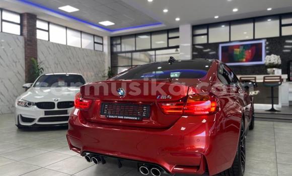 Nunua Ilio tumika BMW M4 Nyekundu Gari ndani ya Beitbridge nchini Matabeleland Kusini Nunua Ilio tumika BMW M4 Nyekundu Gari ndani ya Beitbridge nchini Matabeleland Kusini