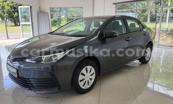 Tenga Tsaru Toyota Corolla Sirivha Mota in Beitbridge in Matabeleland South