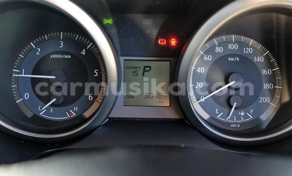 Tenga Tsaru Toyota Land Cruiser Prado Zvimwe Mota in Harare in Harare Tenga Tsaru Toyota Land Cruiser Prado Zvimwe Mota in Harare in Harare