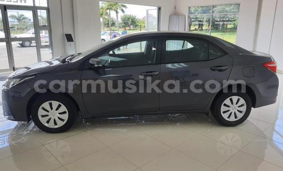 Buy Used Toyota Corolla Silver Car in Beitbridge in Matabeleland South Buy Used Toyota Corolla Silver Car in Beitbridge in Matabeleland South