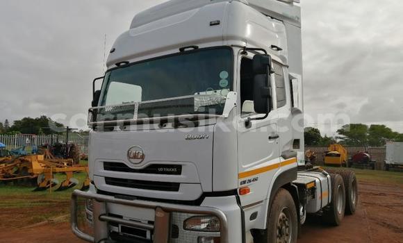 Buy Used Nissan UD White Truck in Beitbridge in Matabeleland South