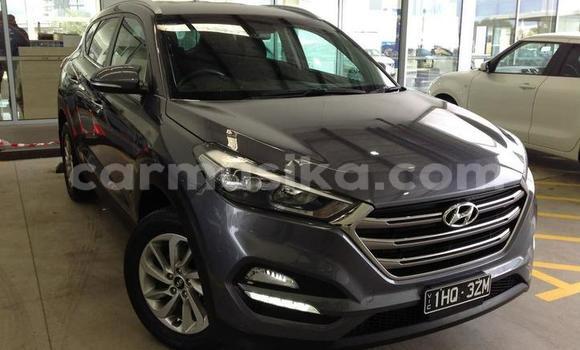 Tenga Tsaru Hyundai Tucson Zvimwe Mota in Harare in Harare Tenga Tsaru Hyundai Tucson Zvimwe Mota in Harare in Harare