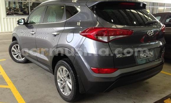 Tenga Tsaru Hyundai Tucson Zvimwe Mota in Harare in Harare Tenga Tsaru Hyundai Tucson Zvimwe Mota in Harare in Harare