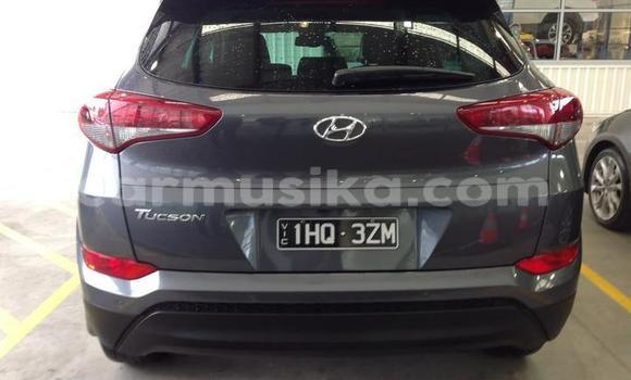 Tenga Tsaru Hyundai Tucson Zvimwe Mota in Harare in Harare Tenga Tsaru Hyundai Tucson Zvimwe Mota in Harare in Harare