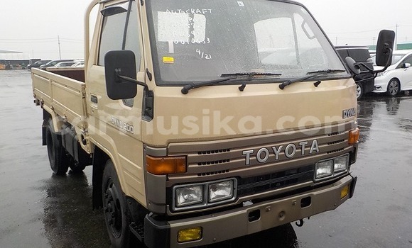 Buy Used Toyota Dyna Other Truck in Beitbridge in Matabeleland South
