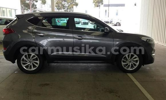 Tenga Tsaru Hyundai Tucson Zvimwe Mota in Harare in Harare Tenga Tsaru Hyundai Tucson Zvimwe Mota in Harare in Harare