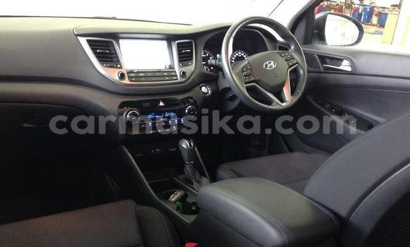 Tenga Tsaru Hyundai Tucson Zvimwe Mota in Harare in Harare Tenga Tsaru Hyundai Tucson Zvimwe Mota in Harare in Harare