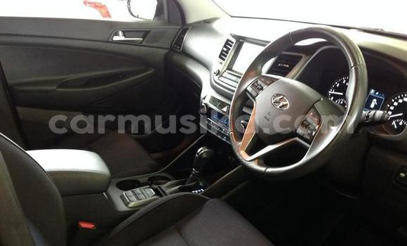 Tenga Tsaru Hyundai Tucson Zvimwe Mota in Harare in Harare Tenga Tsaru Hyundai Tucson Zvimwe Mota in Harare in Harare