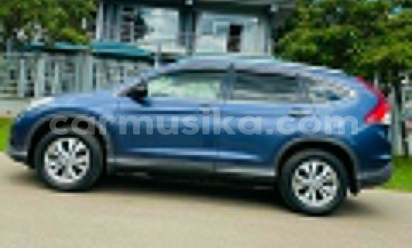 Buy Import Honda CRâV Blue Car in Harare in Harare Buy Import Honda CRâV Blue Car in Harare in Harare