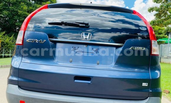 Buy Import Honda CRâV Blue Car in Harare in Harare Buy Import Honda CRâV Blue Car in Harare in Harare