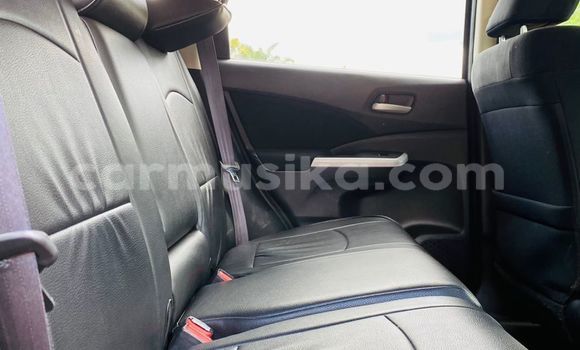 Buy Import Honda CRâV Blue Car in Harare in Harare Buy Import Honda CRâV Blue Car in Harare in Harare