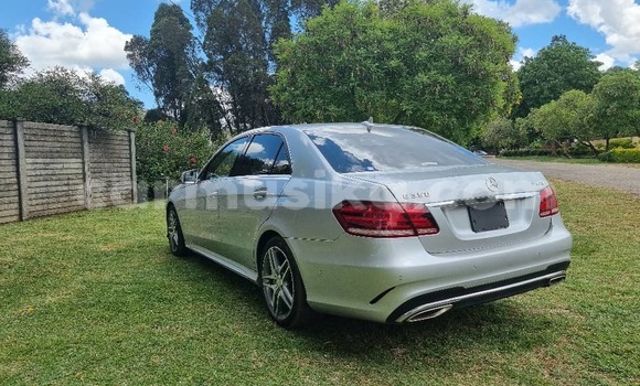 Tenga Tsaru MercedesâBenz EâClass Sirivha Mota in Harare in Harare Tenga Tsaru MercedesâBenz EâClass Sirivha Mota in Harare in Harare