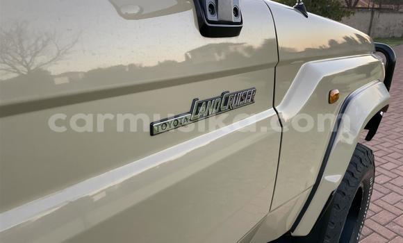 Tenga Tsaru Toyota Land Cruiser Beige Mota in Beitbridge in Matabeleland South Tenga Tsaru Toyota Land Cruiser Beige Mota in Beitbridge in Matabeleland South