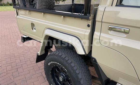 Tenga Tsaru Toyota Land Cruiser Beige Mota in Beitbridge in Matabeleland South Tenga Tsaru Toyota Land Cruiser Beige Mota in Beitbridge in Matabeleland South