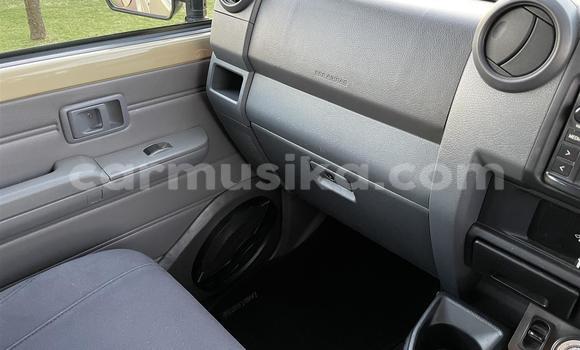 Tenga Tsaru Toyota Land Cruiser Beige Mota in Beitbridge in Matabeleland South Tenga Tsaru Toyota Land Cruiser Beige Mota in Beitbridge in Matabeleland South