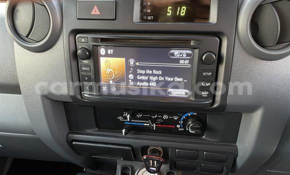 Tenga Tsaru Toyota Land Cruiser Beige Mota in Beitbridge in Matabeleland South Tenga Tsaru Toyota Land Cruiser Beige Mota in Beitbridge in Matabeleland South