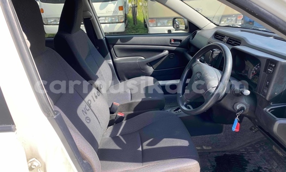 Acheter Occasion Voiture Toyota Probox Blanc à Beitbridge, Matabeleland South Acheter Occasion Voiture Toyota Probox Blanc à Beitbridge, Matabeleland South