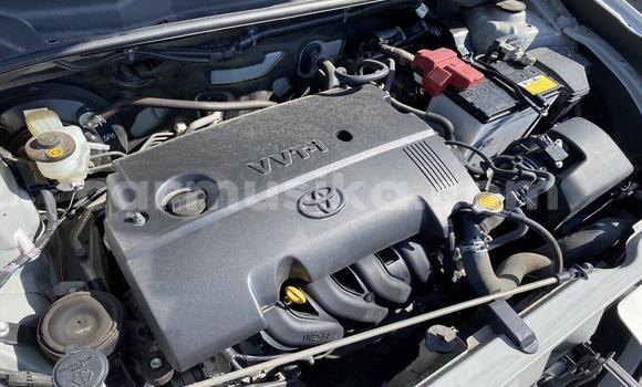 Acheter Occasion Voiture Toyota Probox Blanc à Beitbridge, Matabeleland South Acheter Occasion Voiture Toyota Probox Blanc à Beitbridge, Matabeleland South