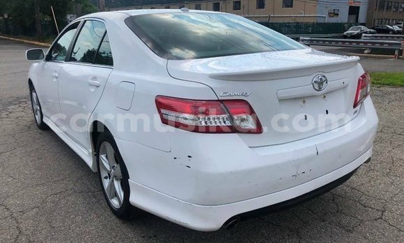 Buy Used Toyota Corolla White Car in Beitbridge in Matabeleland South